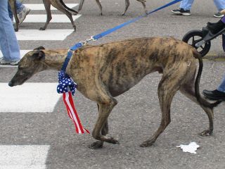 Memorial day 2004 Essex Junction Vermont